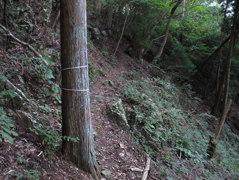 20161014hike (179)